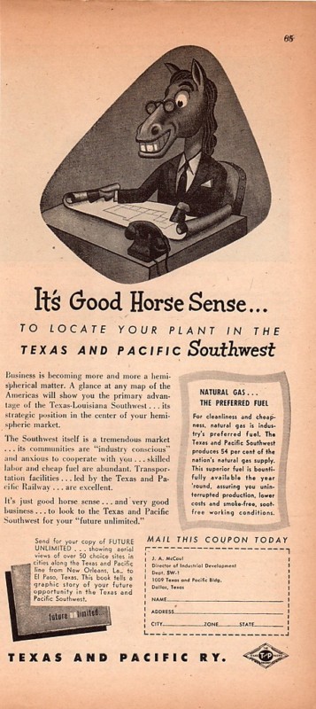 Image of T&P  Advertisements - Horse Sense